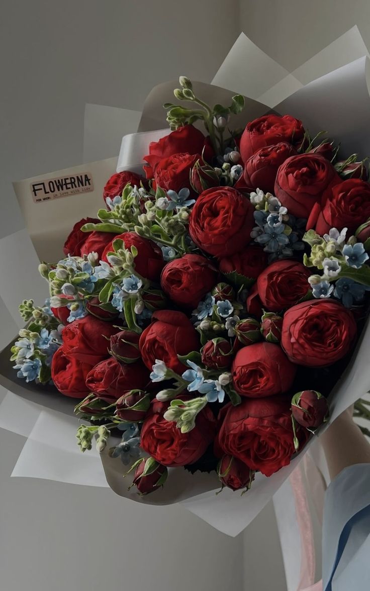 bloomifyyy's tweet image. 