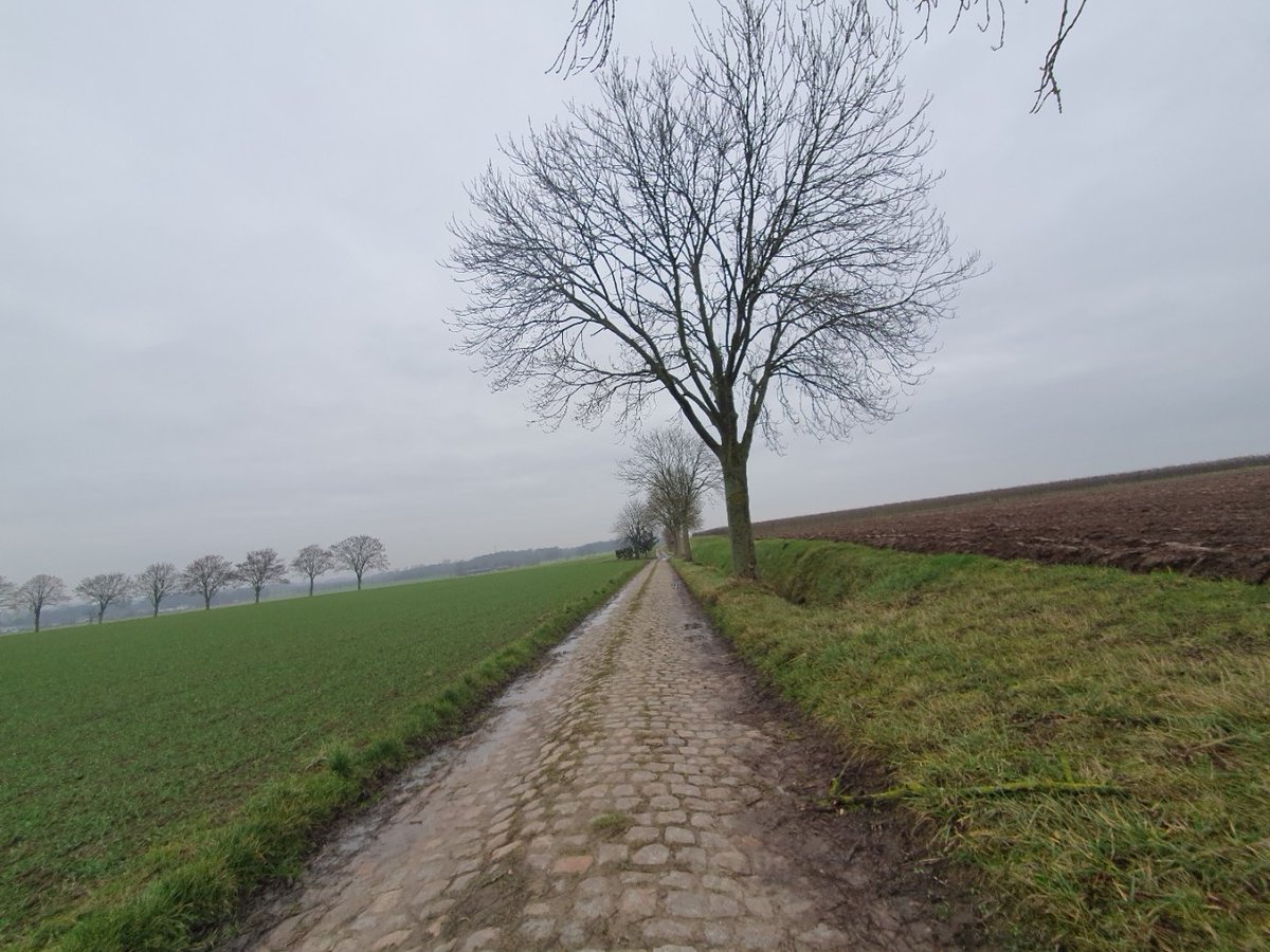 magdalenaerts's tweet image. #vrtweer #Linter 15.10
