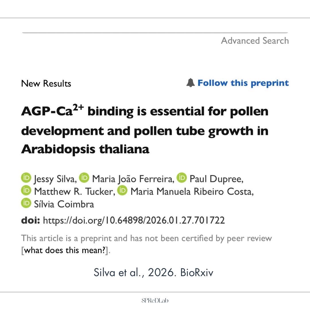 SPReD Lab tweet media