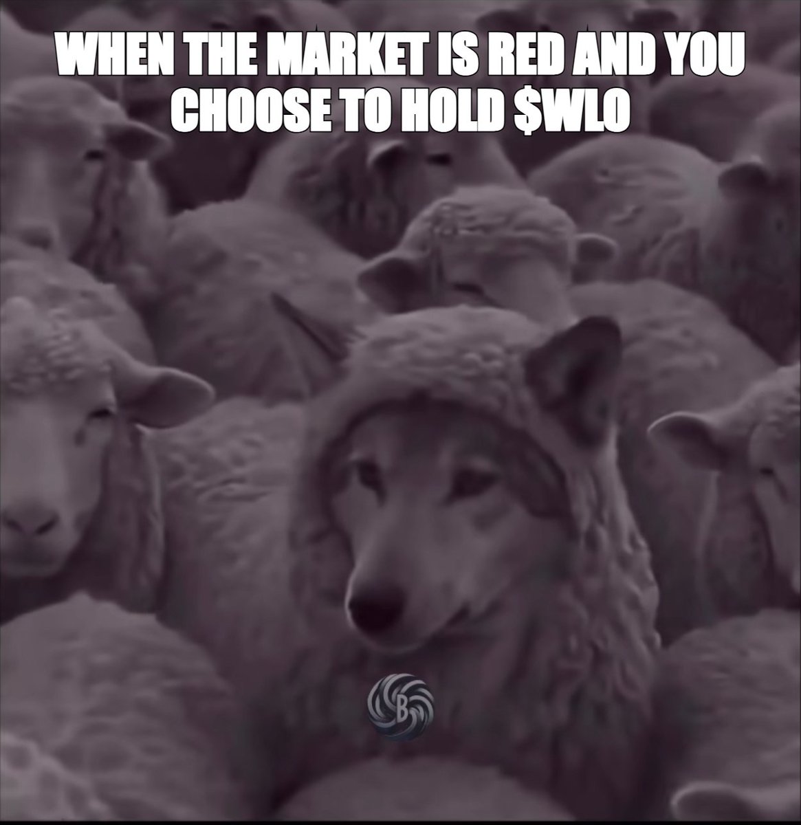 SamHorks's tweet image. #WaldoMeme #XRPL @WaldoCoin
$WLO is everything
memeology.fun