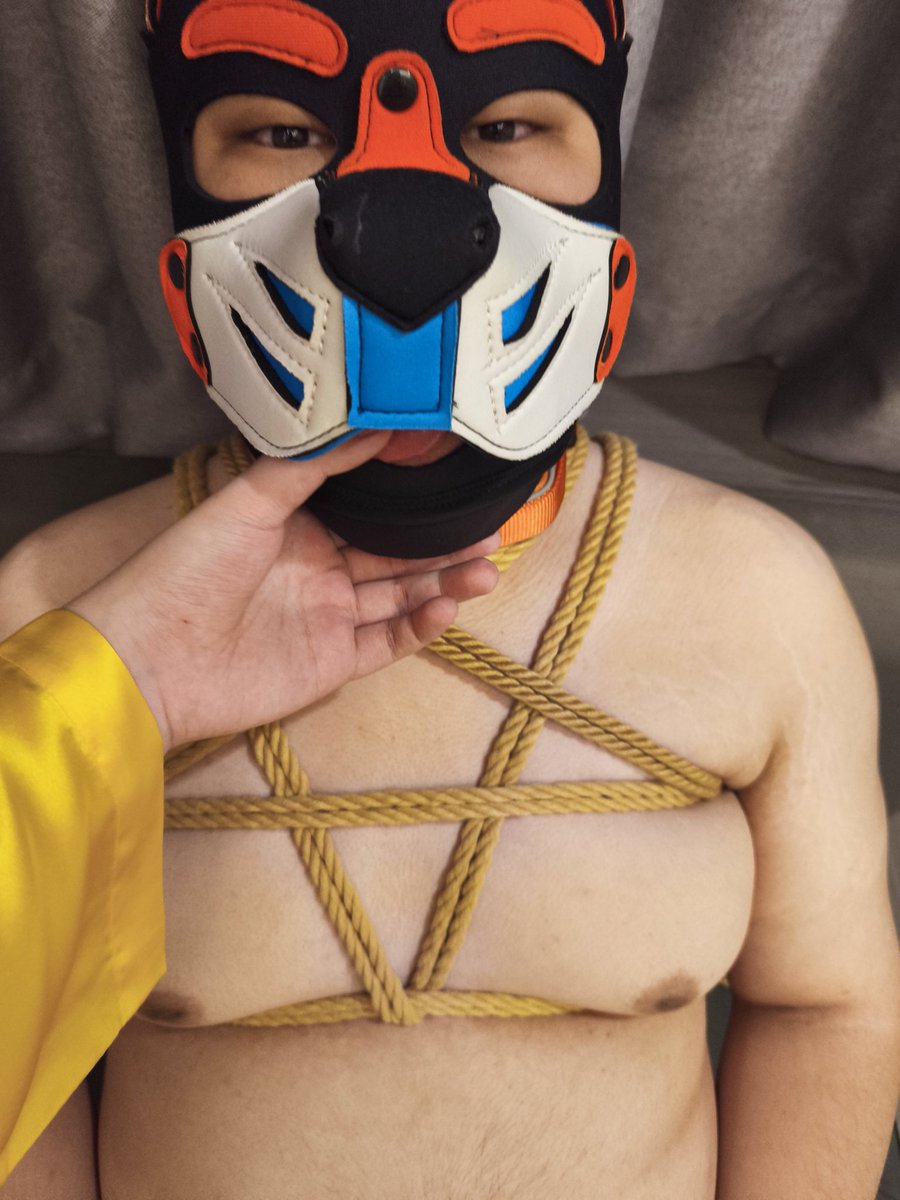 脑斧头 tweet media