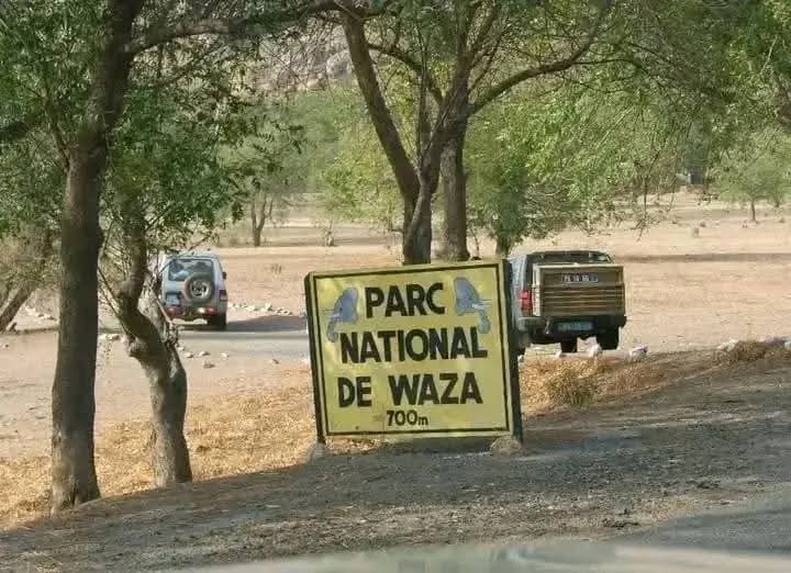HumanityPurpose's tweet photo. #Cameroun
Le #Parc national de #Waza dans son état d'avant et de maintenant.
• Problème d'entretien et de réhabilitation des infrastructures;
• Braconnage et attaque contre les #EcoGardes;
• #BokoHaram, #TerroBanditisme et prise d'#otages.
@jtchoufang @tassingremi @Action237 https://t.co/CUncJTlqL5