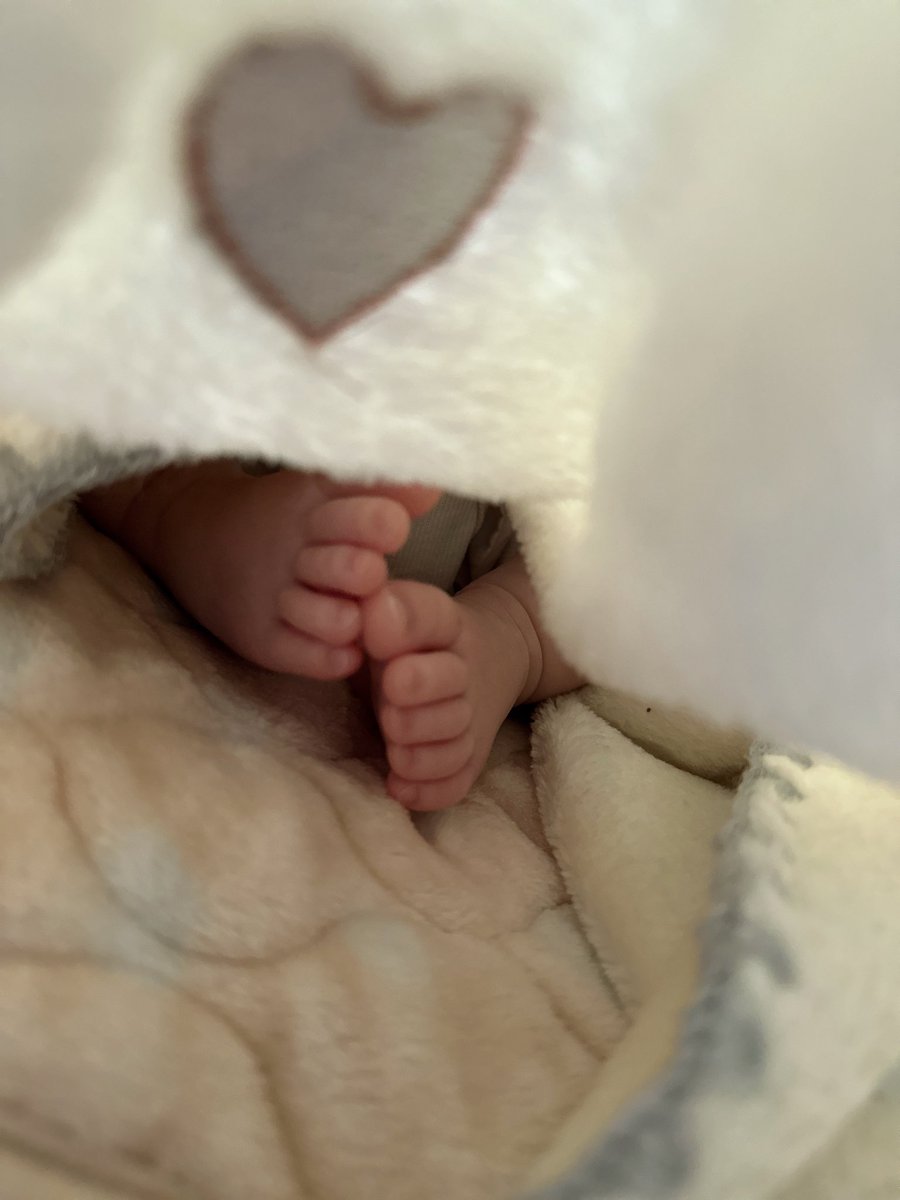 conaki_ww's tweet photo. お布団めくると可愛い世界が🦶🥺♡⸝⸝ https://t.co/he6jA8qKkV