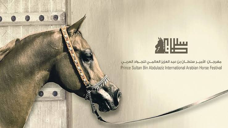 lavsaline's tweet photo. ختام #مهرجان_الامير_سلطان_للجواد_العربي 2026، بـ #الرياض وتوّجت بالذهب كل من: مجدولة العارض، صعب إم جي، منارة عذبة، ريان عذبة https://t.co/MsKwcu4Q6V