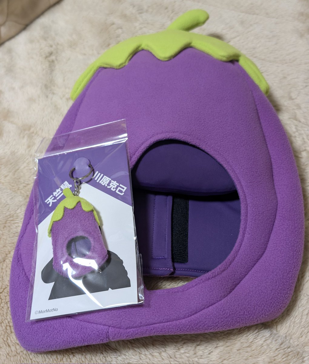 ナスビの被り物が届いたナス