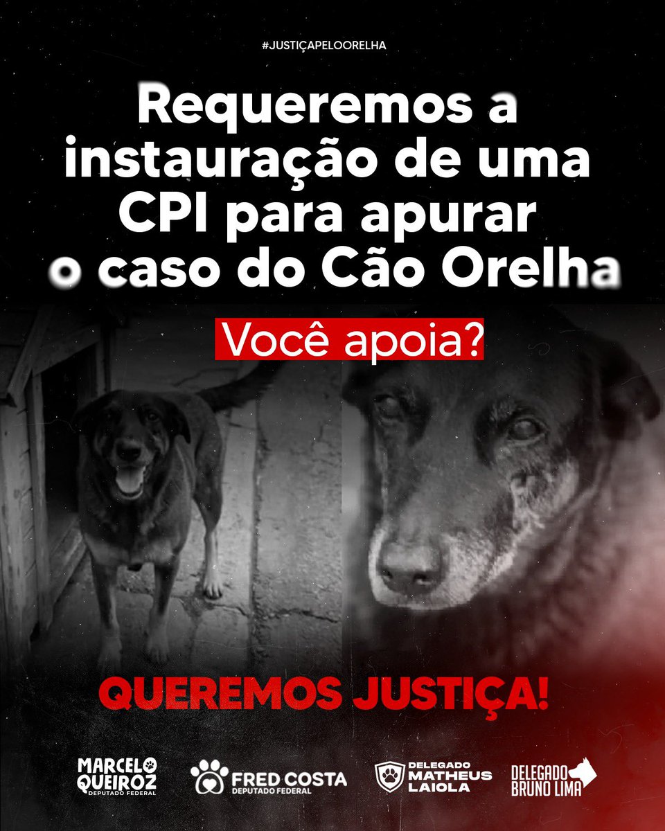 danilonasci654's tweet photo. NÃO VAMOS ESQUECER ‼️👊🏼 https://t.co/QmYfRQpQD7