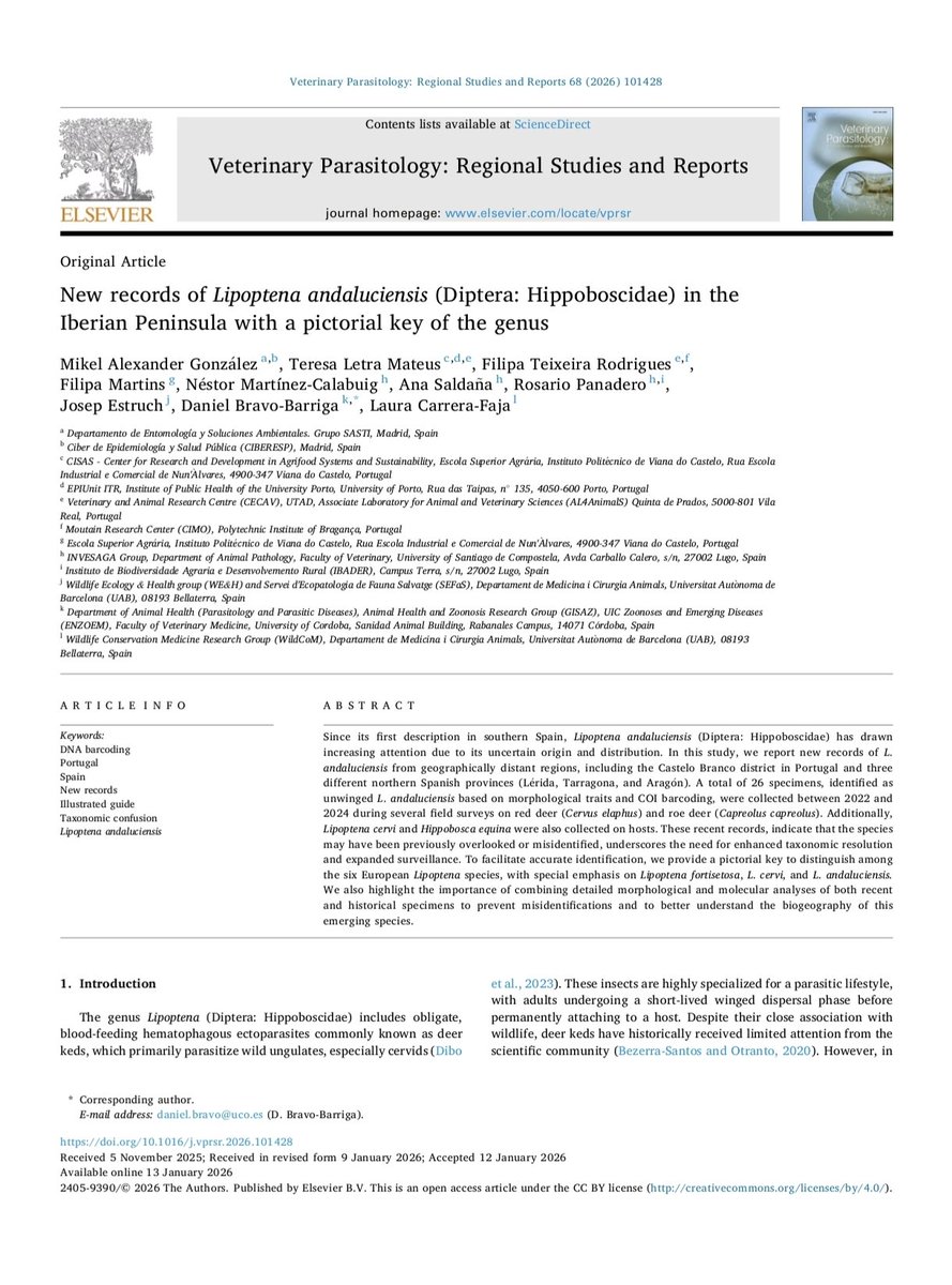 Daniel Bravo tweet media