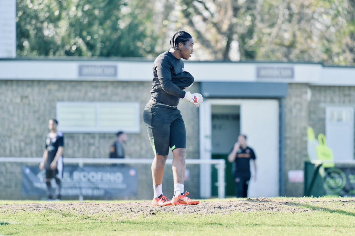 Free Agent Showcase tweet media