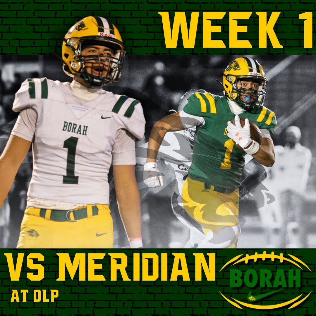 Borah Lions Football tweet media