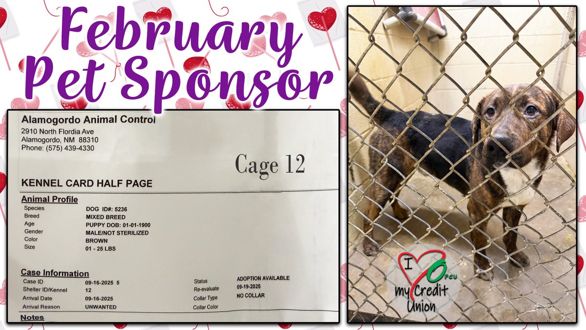 OFCU's Sponsored Pet of the Month🐾 is a sweet and playful Male Mixed Breed! OFCU has put $30.00 towards his adoption fees. For more information on how to make him or another loving pet part of your family contact the Alamogordo Animal Control Center today!