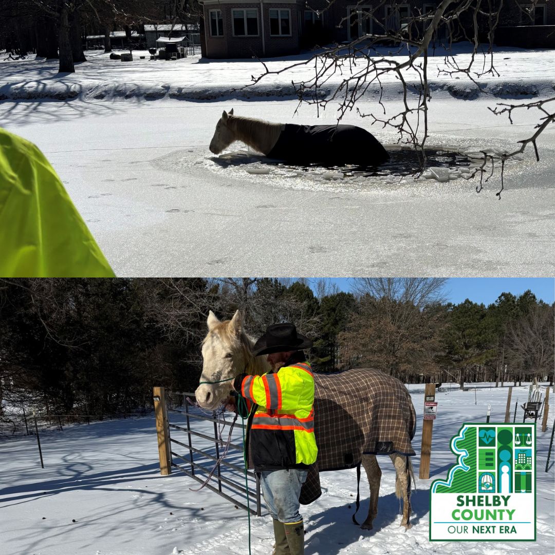 Shelby County Government tweet media