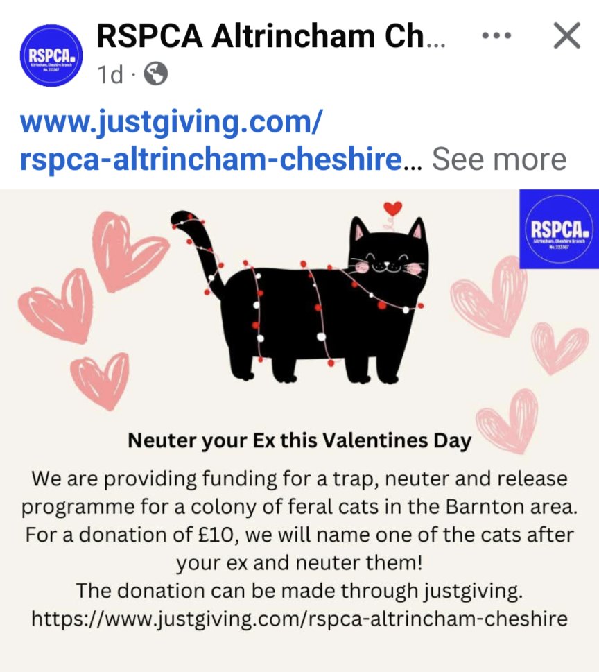 Oh my giddy aunt 🤣🤣🤣