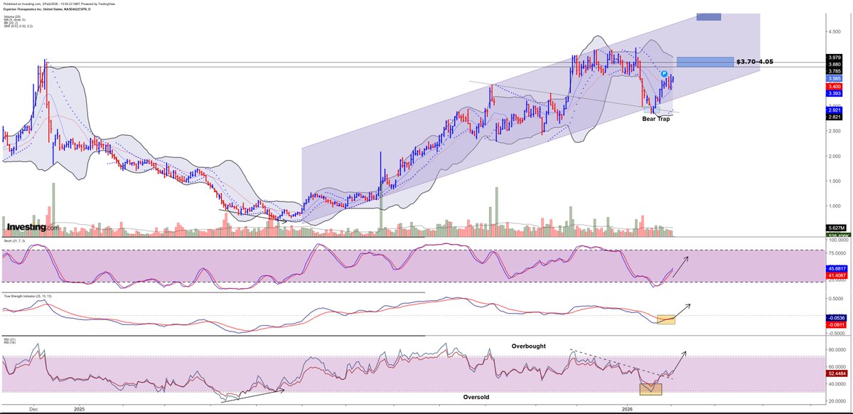 MACROVET tweet media