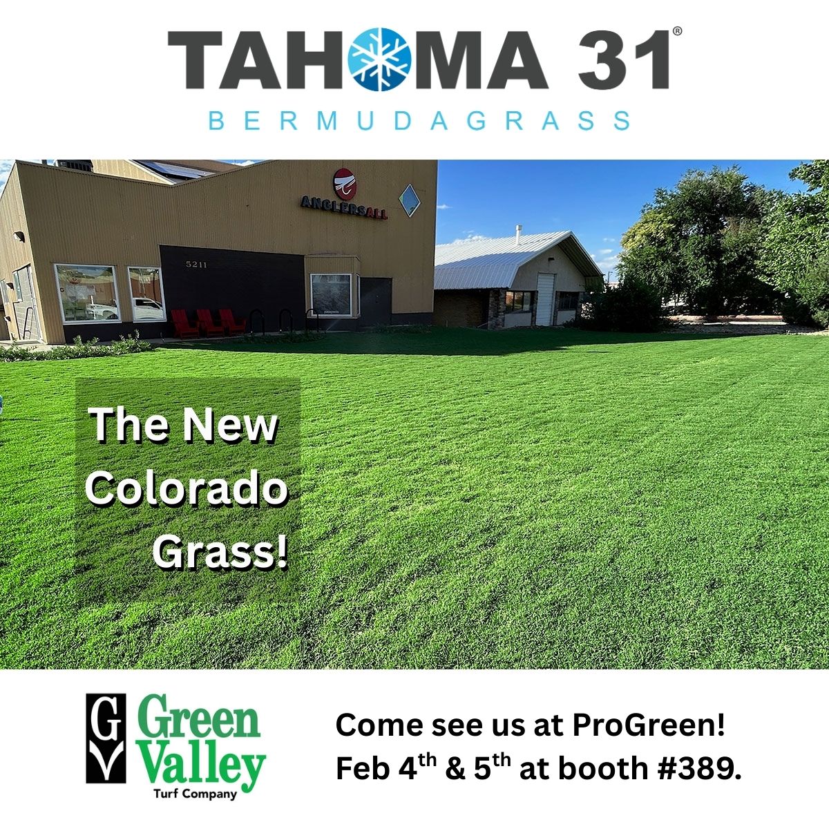 GreenValleyTurf's tweet photo. Come see the “New Colorado Grass” Tahoma 31 at booth #389 at ProGreen on Feb. 4th and 5th next week!

#Tahoma31 #SaveWaterColorado #SaveWaterOneLawnAtATime #NewColoradoGrass #YoullLoveOurGrass #LawnReplacement https://t.co/k09jnZ3je5