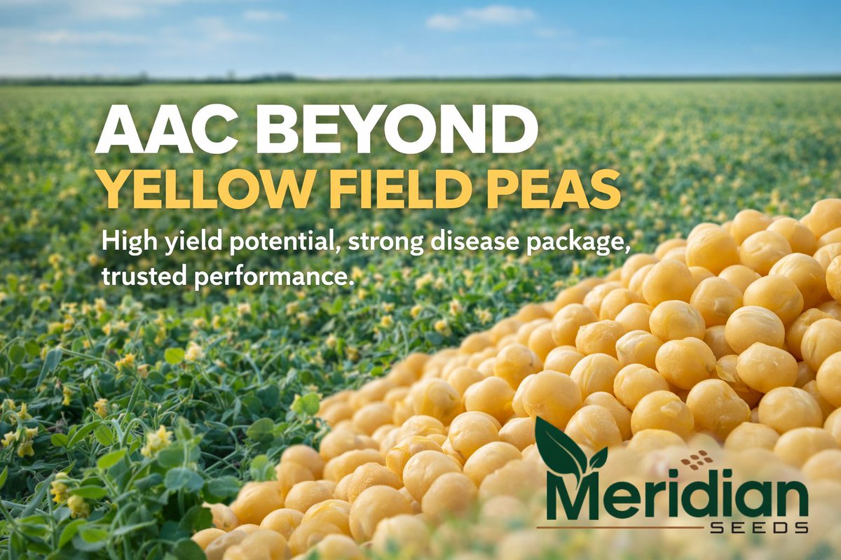 Meridian Seeds tweet media