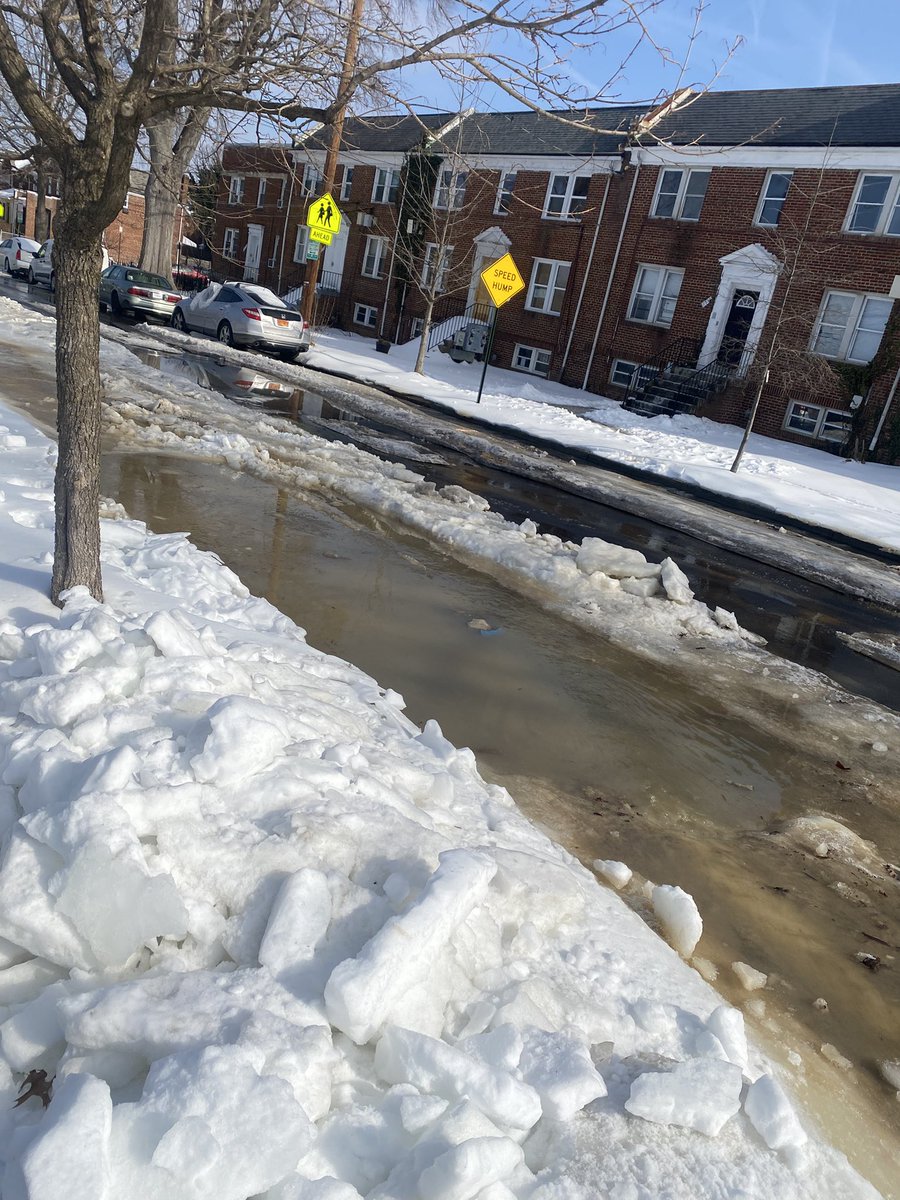 1bscarbro's tweet photo. More picks down 18th ST SE close to P Street SE https://t.co/G3FzFgorhJ