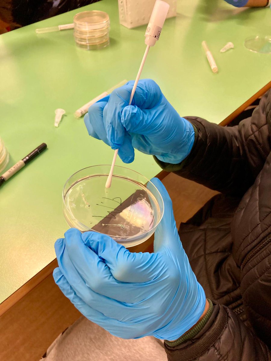 Dipartimento di Medicina Molecolare DMM - Unipd tweet media