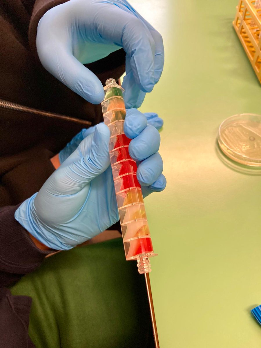 Dipartimento di Medicina Molecolare DMM - Unipd tweet media