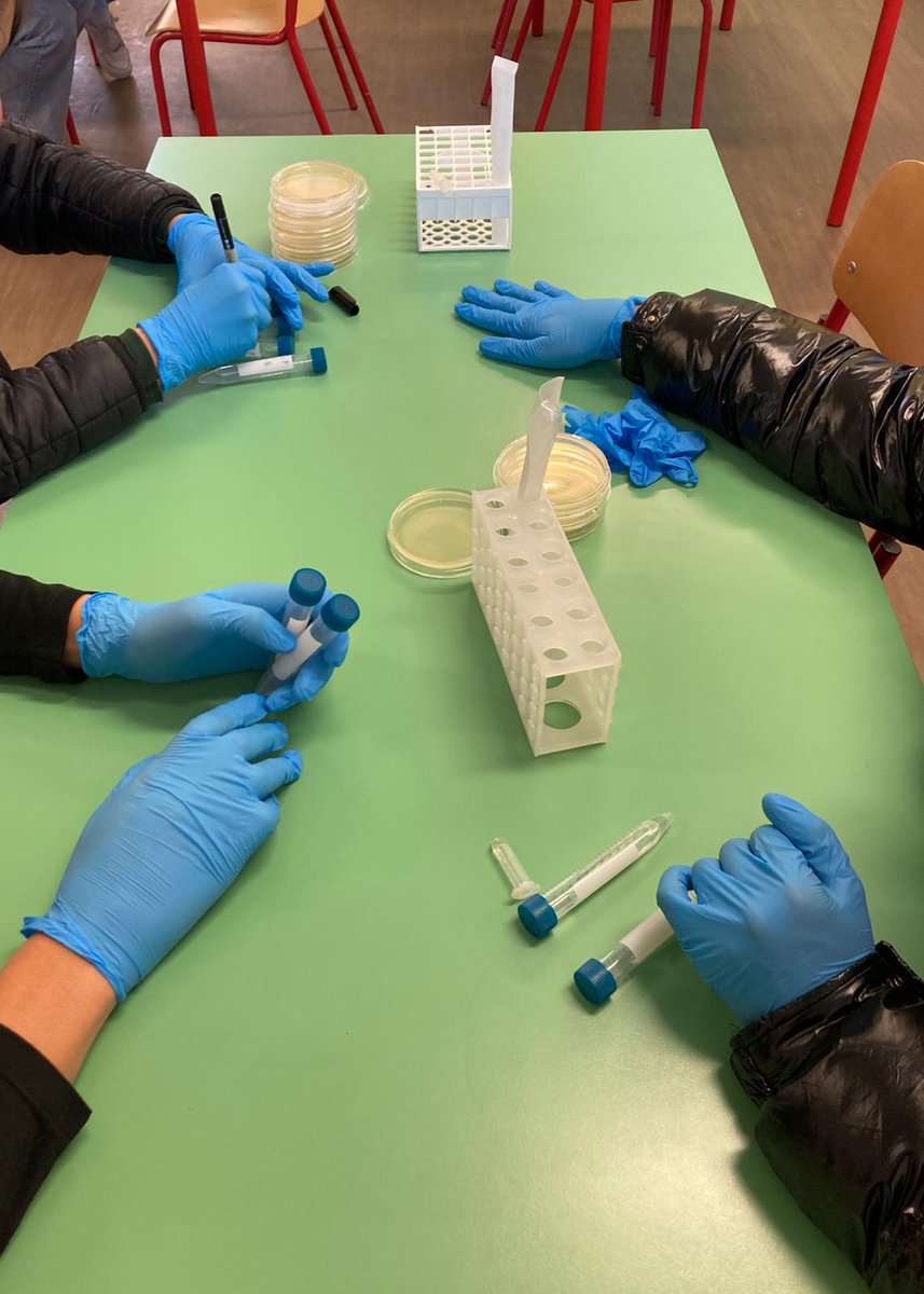 Dipartimento di Medicina Molecolare DMM - Unipd tweet media