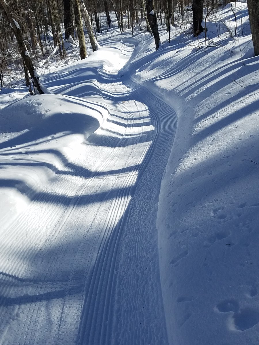 O’Connell Cabin Co. tweet media