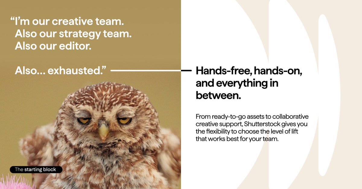 Shutterstock tweet media