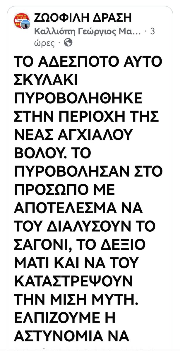 Christinalirou2's tweet photo. Βολος ‼️🆘‼️🆘‼️🆘‼️🆘‼️🆘‼️
Οι εθελοντές κάνουν έκκληση για τον δράστη να βρεθεί. Το σακάτεψε το σκυλάκι το κτήνος!!!!!! https://t.co/Jww9yG4WN2