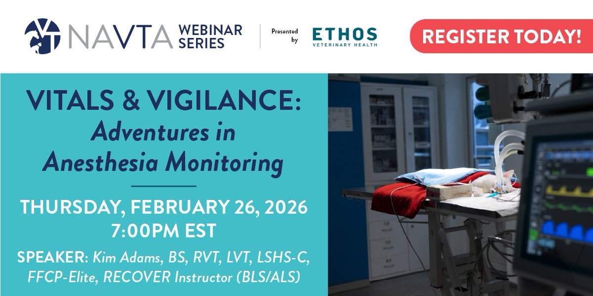 vettechs tweet media