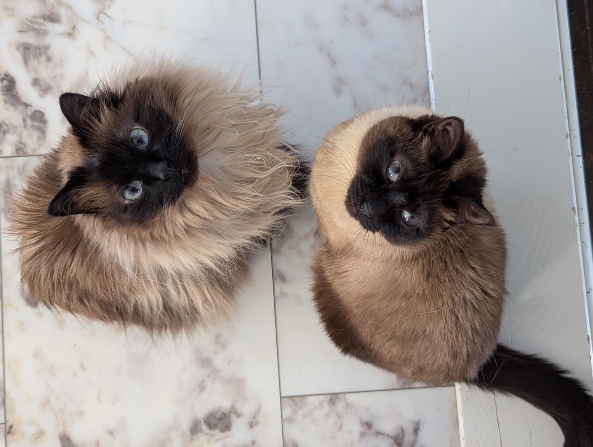 one of them only tells truths and the other only tells lies