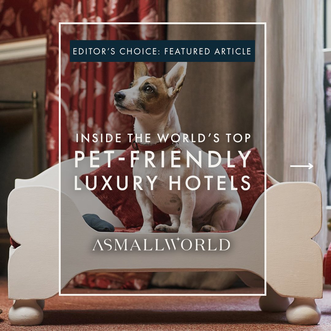 ASMALLWORLD's tweet photo. Luxury travel becomes better with a wagging tail in tow.

Our latest editorial explores the world’s most sought-after luxury hotels where four-legged companions are not just accommodated, but truly welcomed.

Read the full article here: https://t.co/fPTawVsX1R https://t.co/NklVvyyEFt