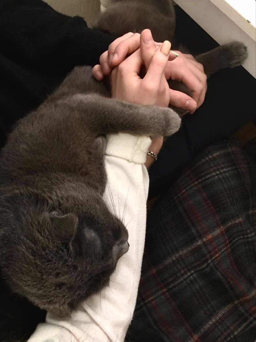 when the act speaks louder than the words