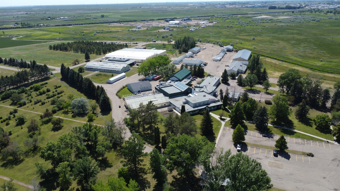 Alberta Seed Guide tweet media