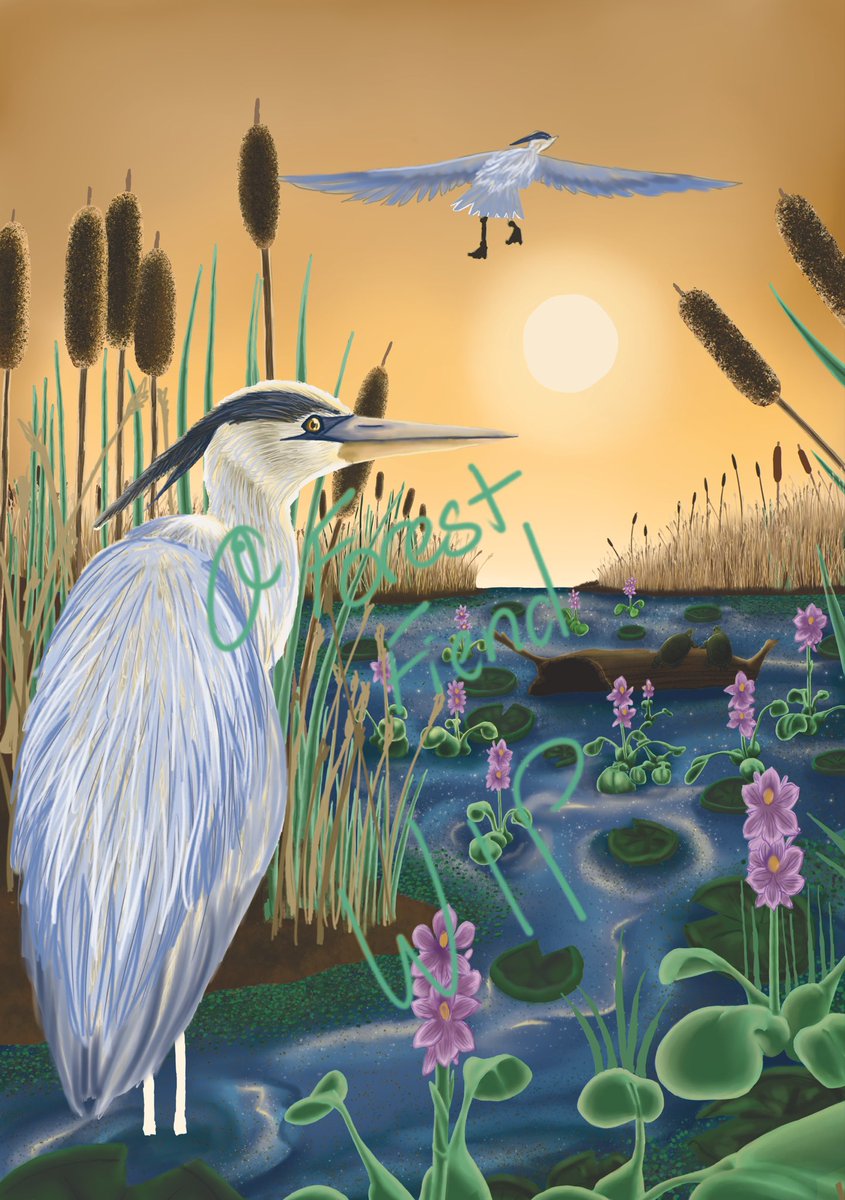 🌒🌲Camphor🌲🌘 tweet media