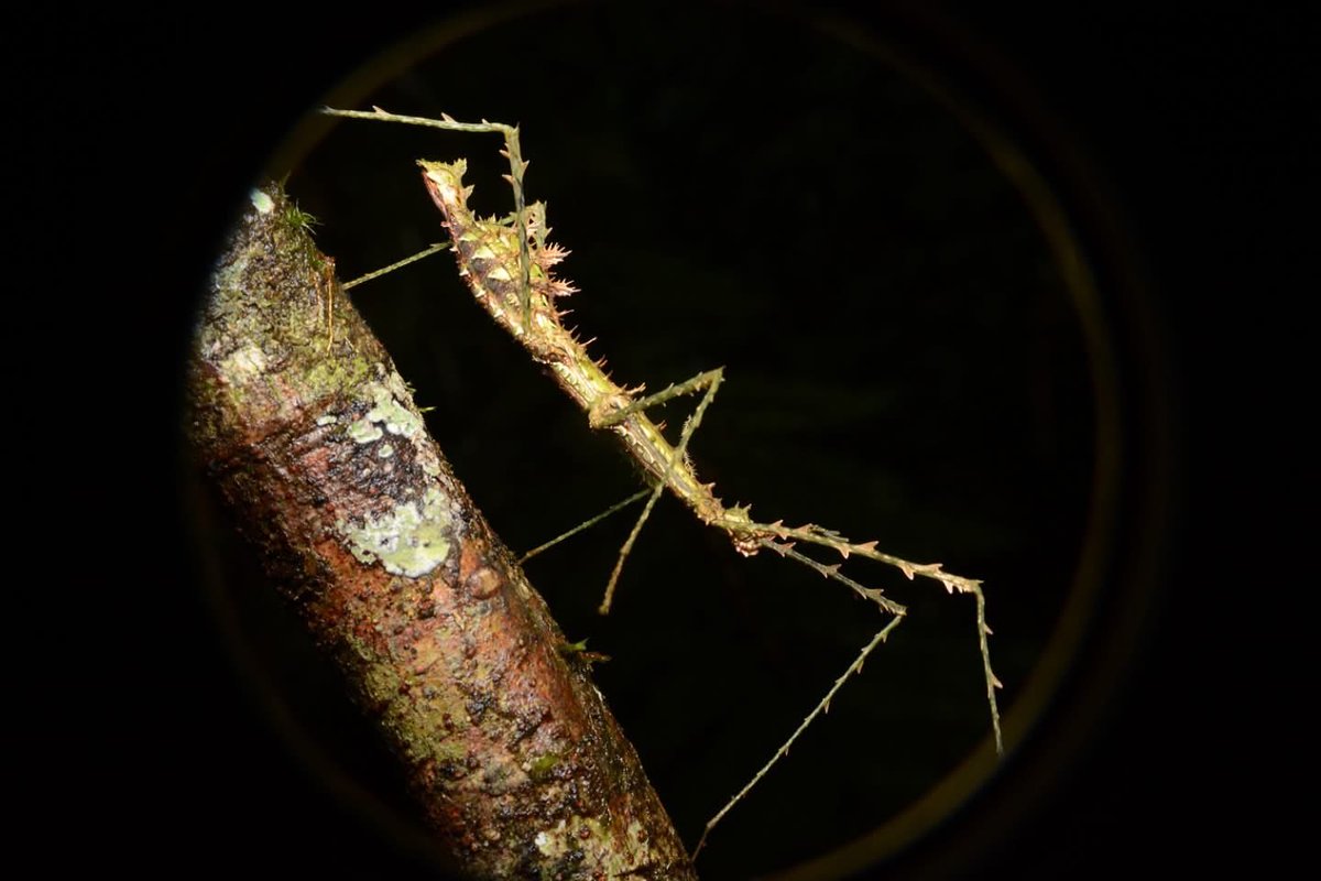 Centre ValBio tweet media