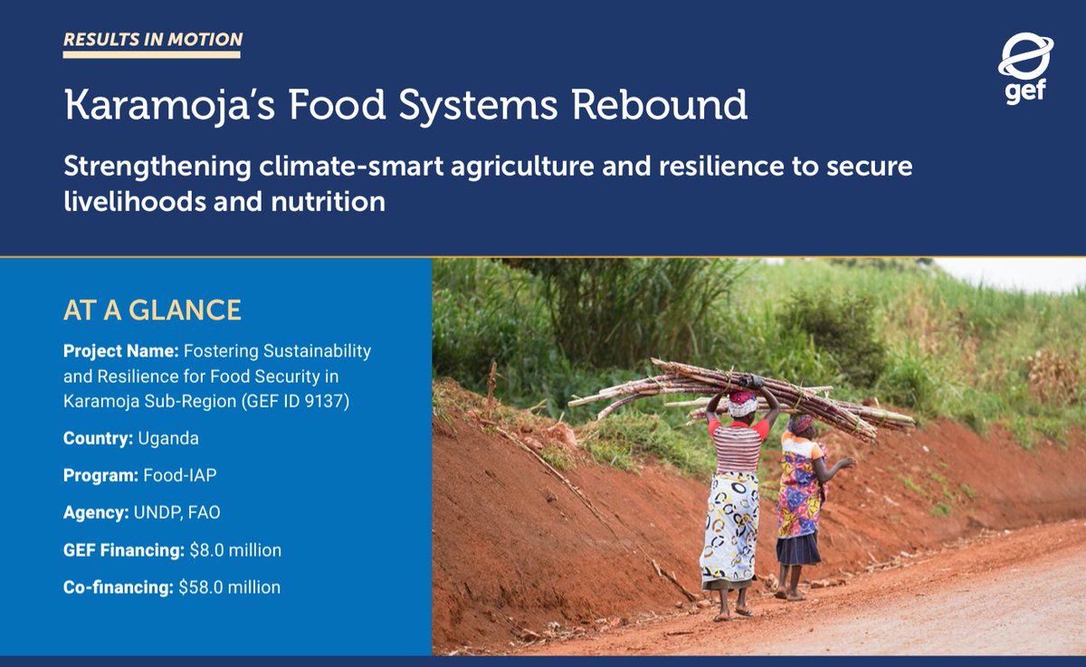 Karamoja’s farmers and herders face drought, floods, and threatening food security. An $8M <a href="/theGEF/">Global Environment Facility (GEF)</a>-funded project with $58M in co-financing is building resilience with climate-smart agriculture and alternative livelihoods. thegef.org/sites/default/…
<a href="/UNDP/">UN Development</a> <a href="/FAO/">Food and Agriculture Organization</a> #ResultsInMotion