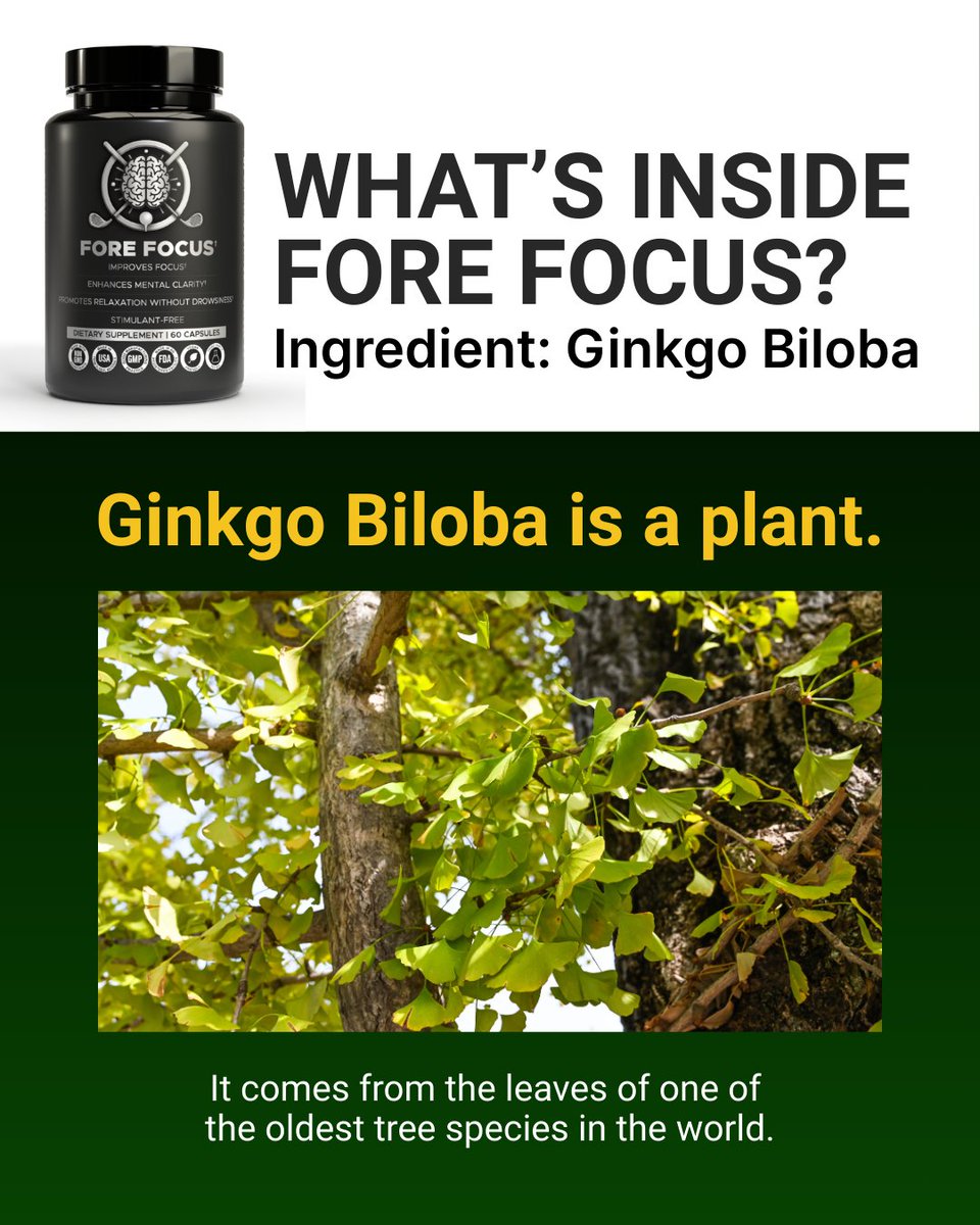 GetForeFocus tweet media