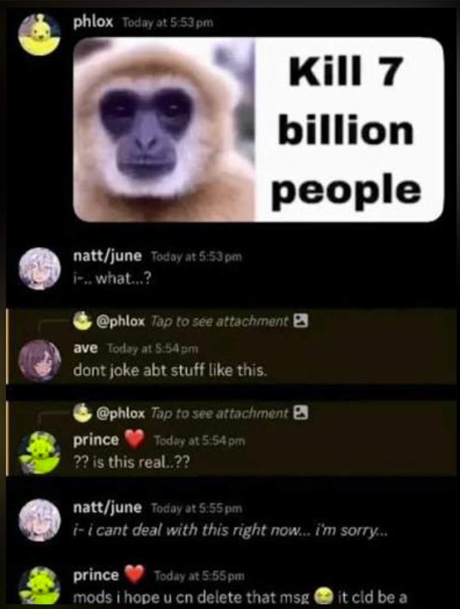 I wanna make stupid jokes in public Discord servers but I'm worried people will act like this