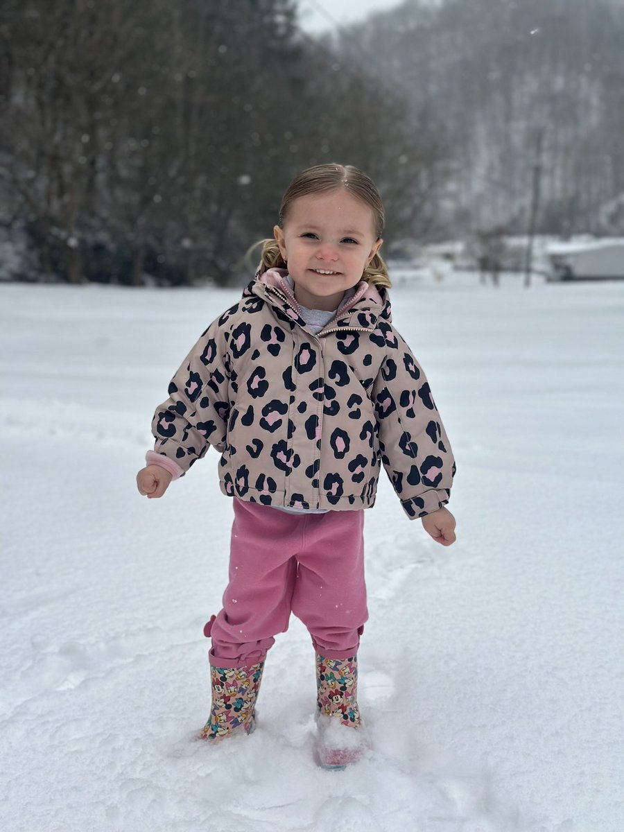 Brad Elkins tweet media