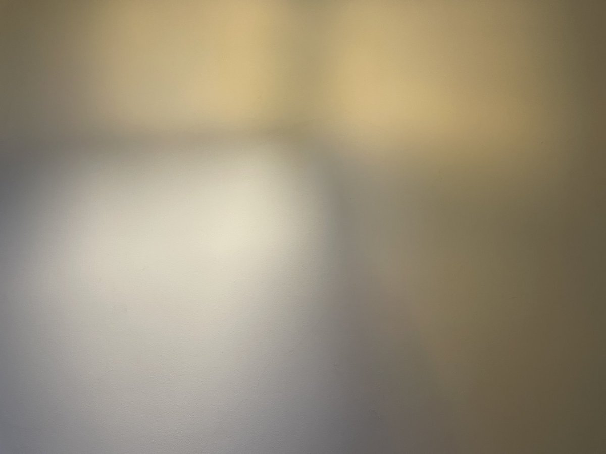 林 葵衣 tweet media