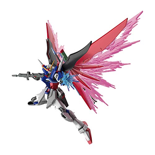 Amazon】全[1種]検知! ↓ HGCE 機動戦士ガンダムSEED DESTINY
