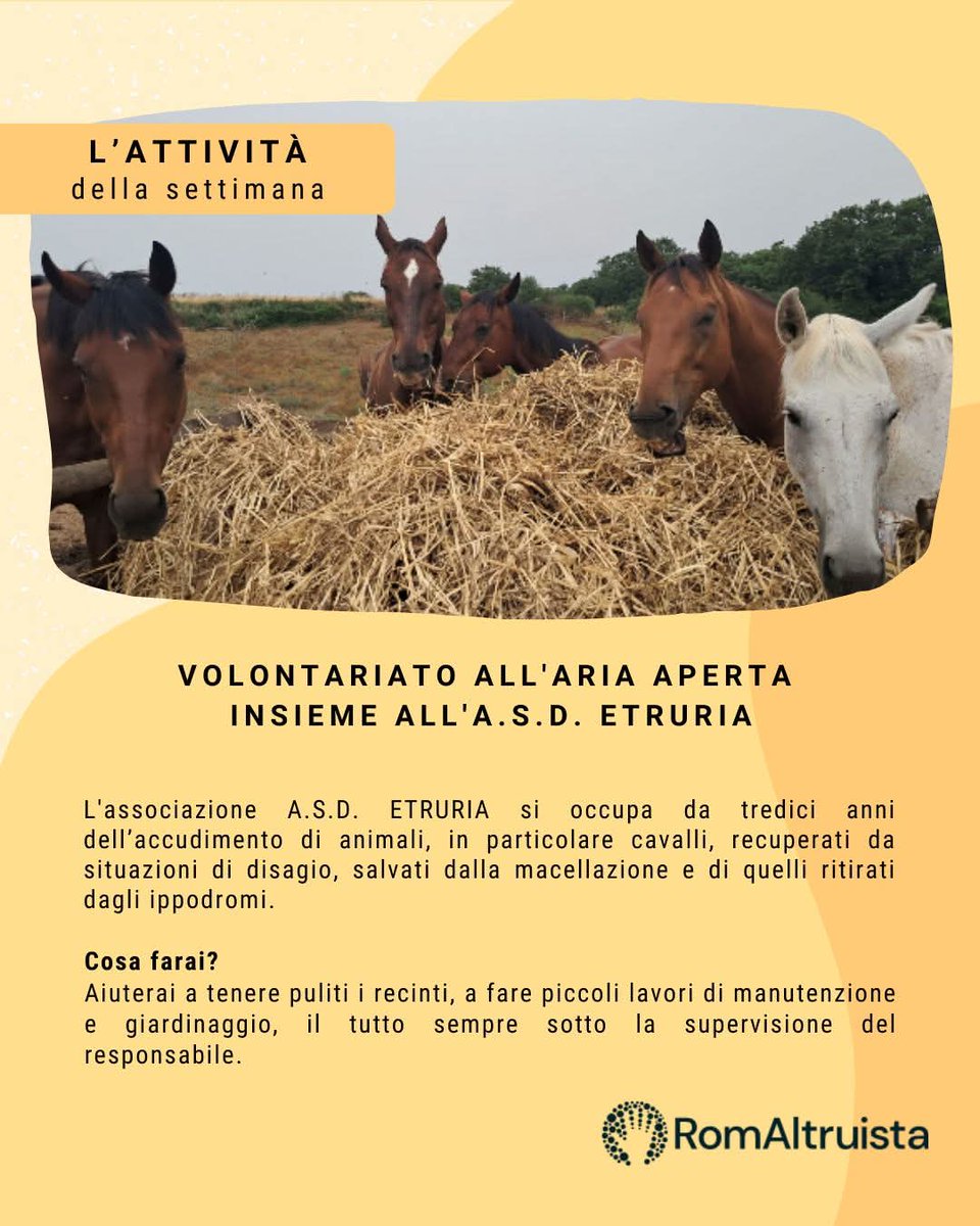 Romaltruista's tweet photo. Sabato mattina nel cuore della natura: aiuta l'A.S.D. ETRURIA! 🐴
📅 07 Febbraio 2026 
🕘 Dalle 09.00 alle 11.00 
📍 Via Nazareno Strampelli 250, Monte Migliore-la Selvotta

Aiuterai a pulire i recinti, a fare piccoli lavori di manutenzione

🔗https://t.co/v7HkG4zDvl https://t.co/rbmwsvoaCM