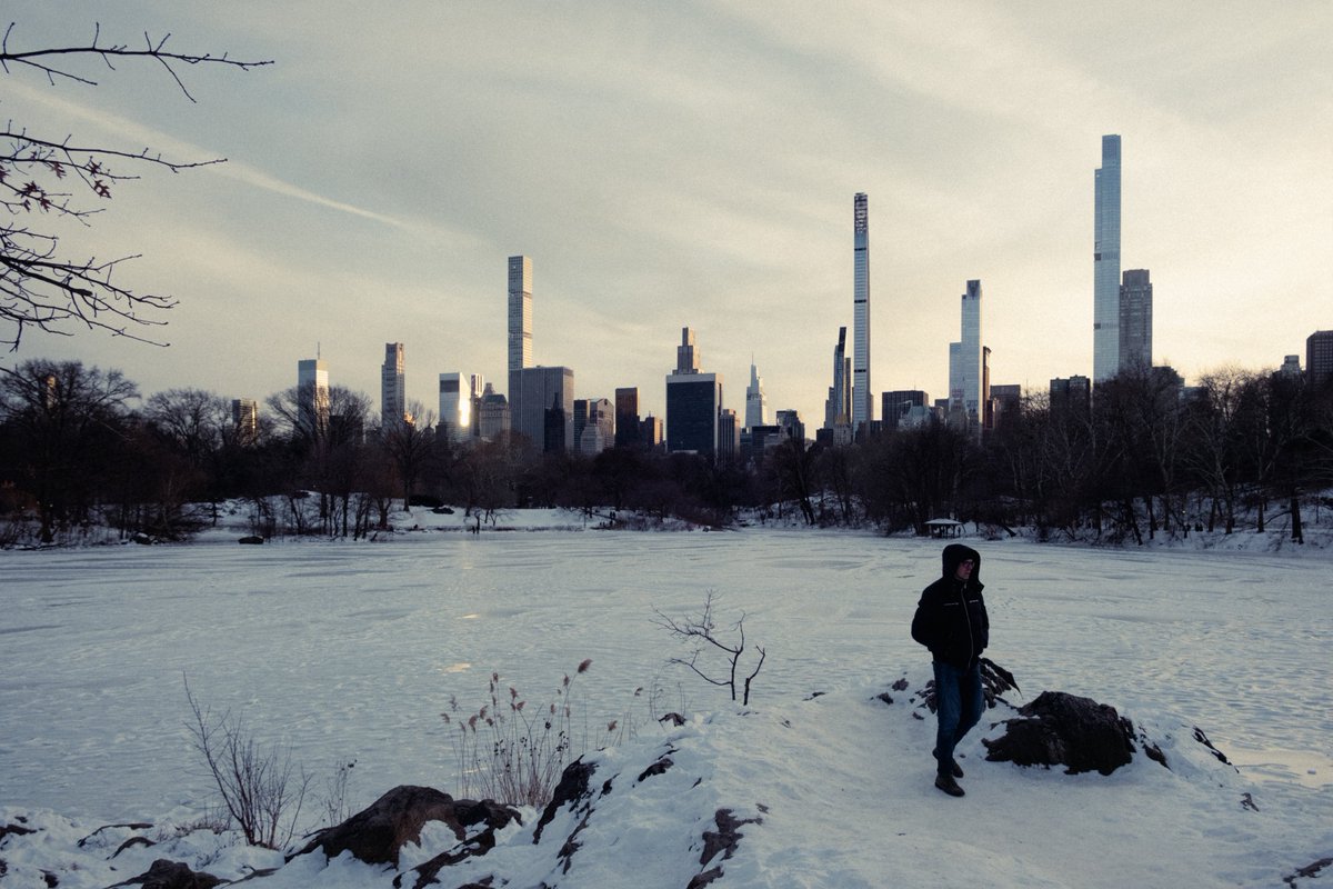 Winter in Central Park