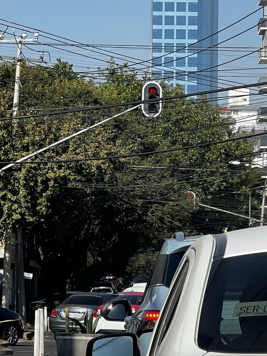 andi_va_la's tweet photo. Podrían apoyar con la poda de árboles que están por tapar los semáforos en la calle de Luz Saviñon esquina con División del Norte? @BJAlcaldia @UCS_GCDMX @AccionesBJ y realmente sobre esa calle la mayoría de los árboles necesitan poda, Muchas gracias 😊 https://t.co/fCudRernd2