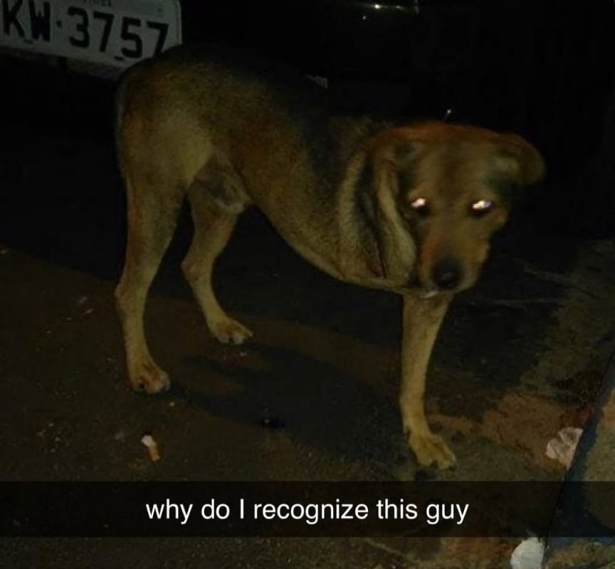 rock fora de contexto tweet media