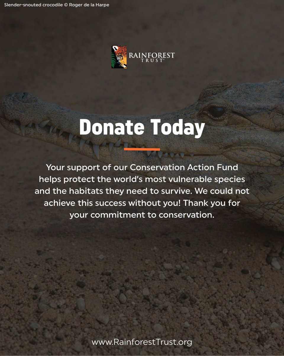 Rainforest Trust tweet media