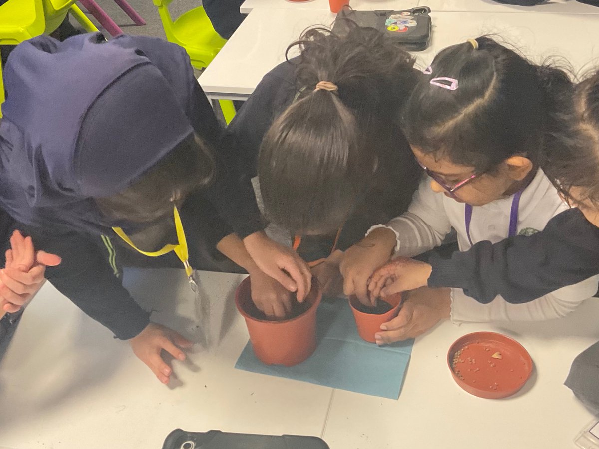 Miss Rodgers tweet media