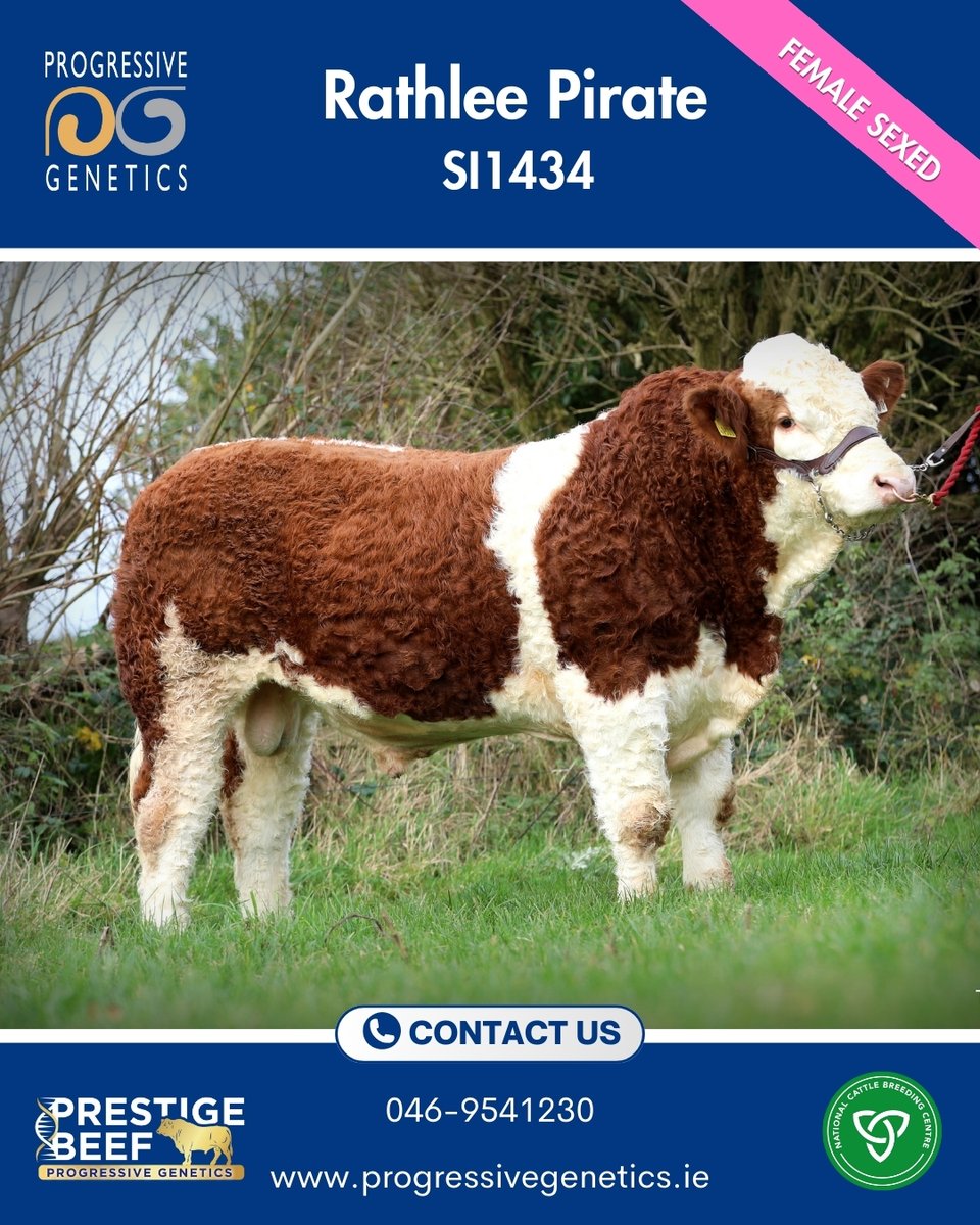 Prestige Beef tweet media