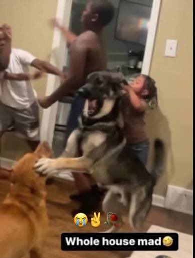 Chriziest's tweet image. le j qui sème la discorde