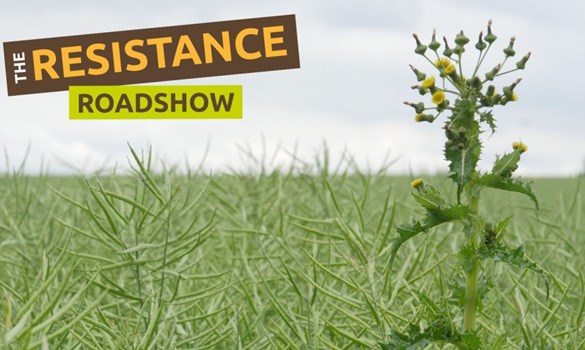 NU Farms tweet media