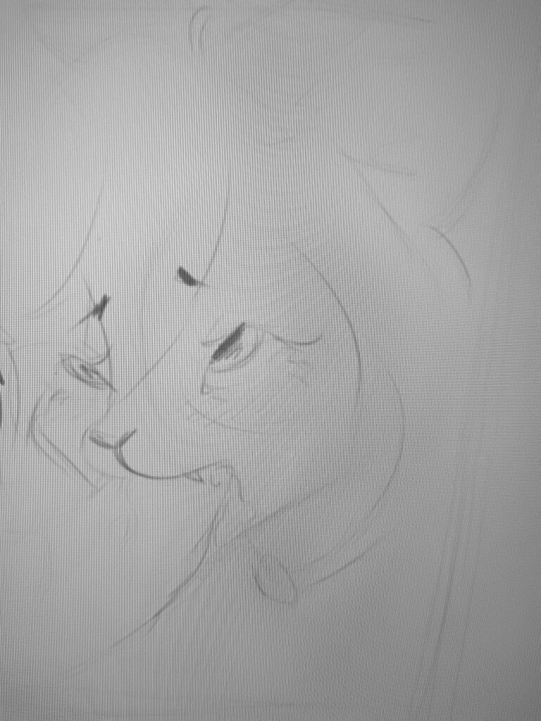 Stesh_so tweet media