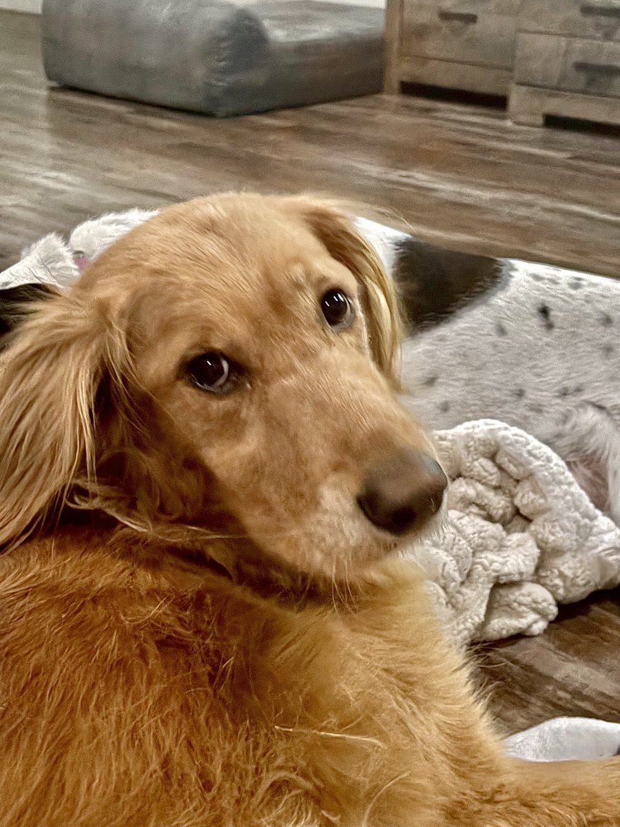 Every Commute Counts tweet media